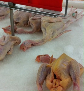 Whole chickens for sale at Walmart (yes, Walmart)!